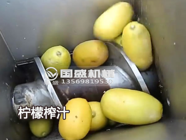 國盛新款大型檸檬榨汁機 國盛新款大型檸檬榨汁機