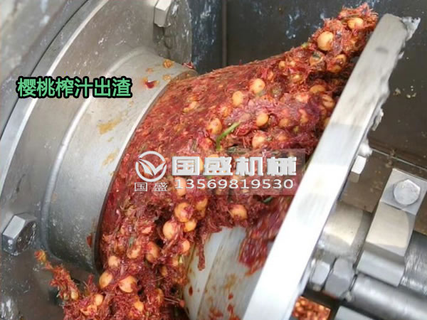 國盛櫻桃螺旋壓榨脫水機 國盛櫻桃螺旋壓榨脫水機
